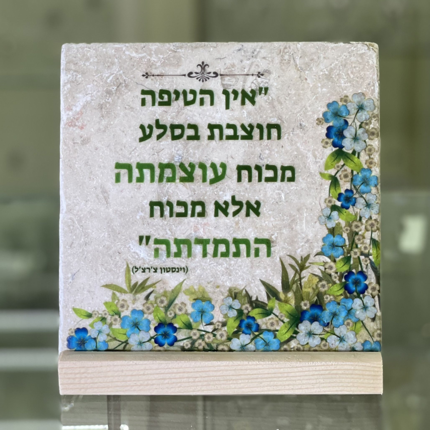 אריח אין הטיפה- 15/15