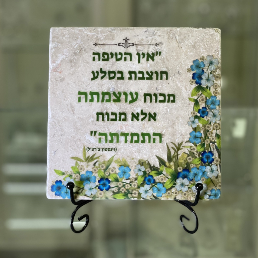 אריח אין הטיפה- 15/15