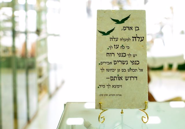 אריח בן אדם 30/15