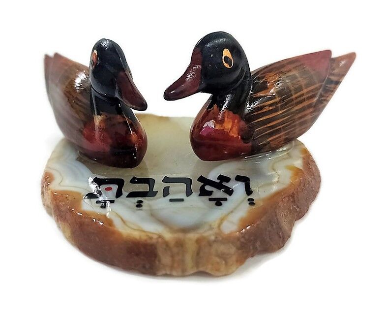 ברווזי מנדרין על אבן אגת 'ואהבת' ברווזי מנדרין על אבן אגת 'ואהבת'