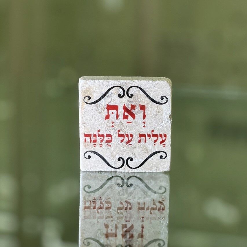 אריח 5/5 ואת עלית על כולנה אריח 5/5 ואת עלית על כולנה
