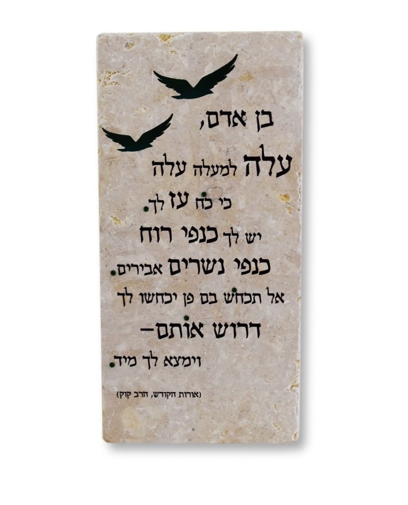 אריח בן אדם 30/15