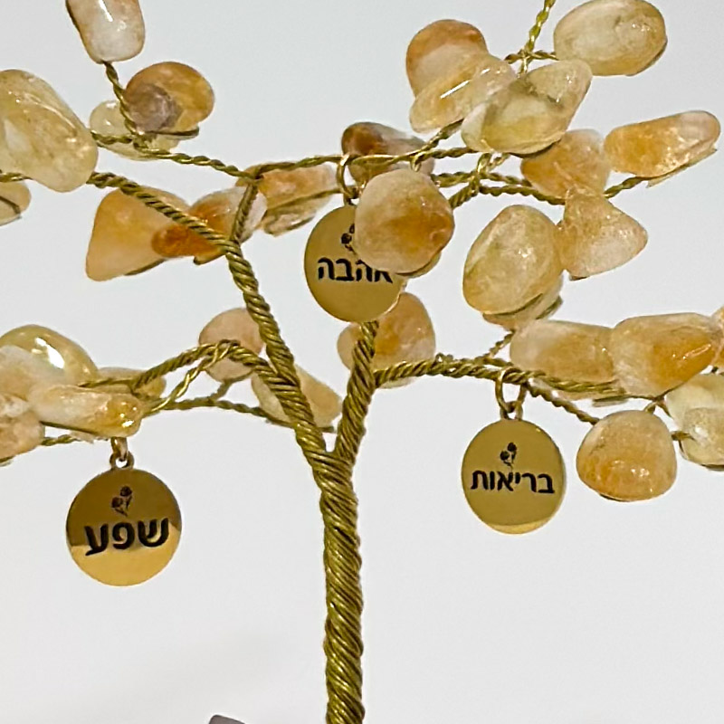מארז עץ MIX בינוני ואריח