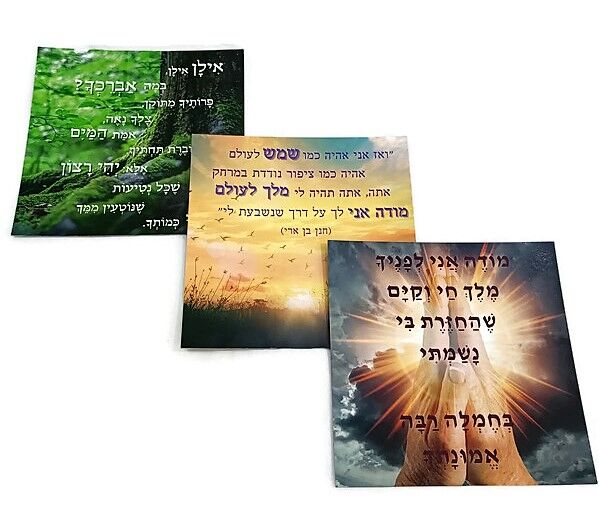 סט 3 מגנטים סט 3 מגנטים