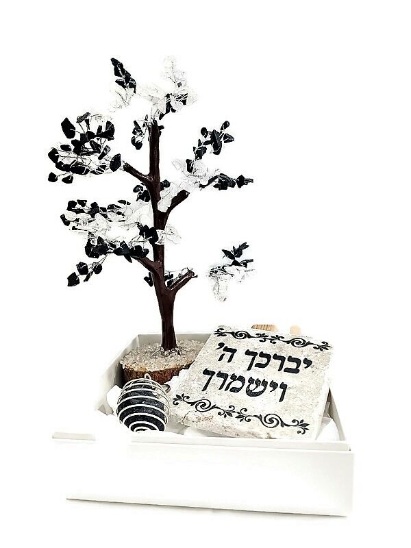 מארז לשנה של ביטחון והשגחה מארז לשנה של ביטחון והשגחה