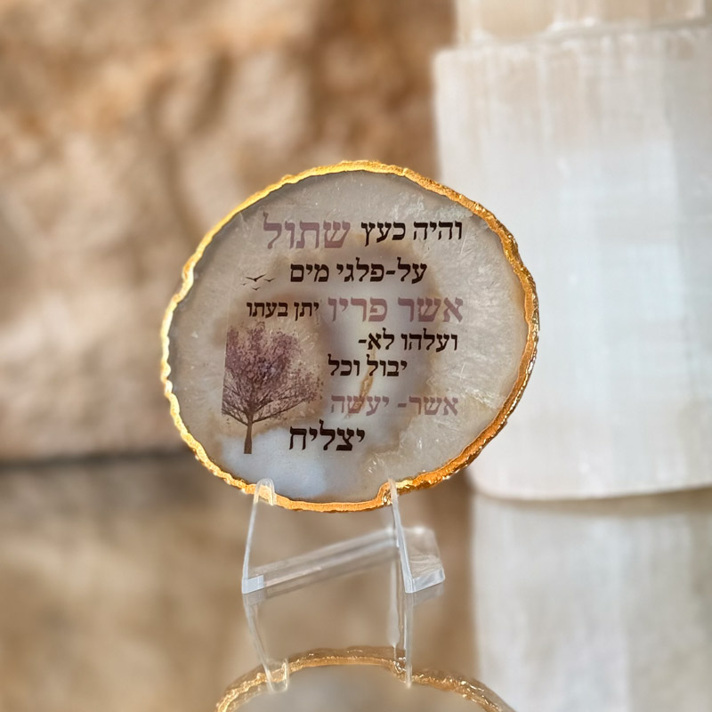 אגת גולדן - והיה כעץ שתול (המלא)