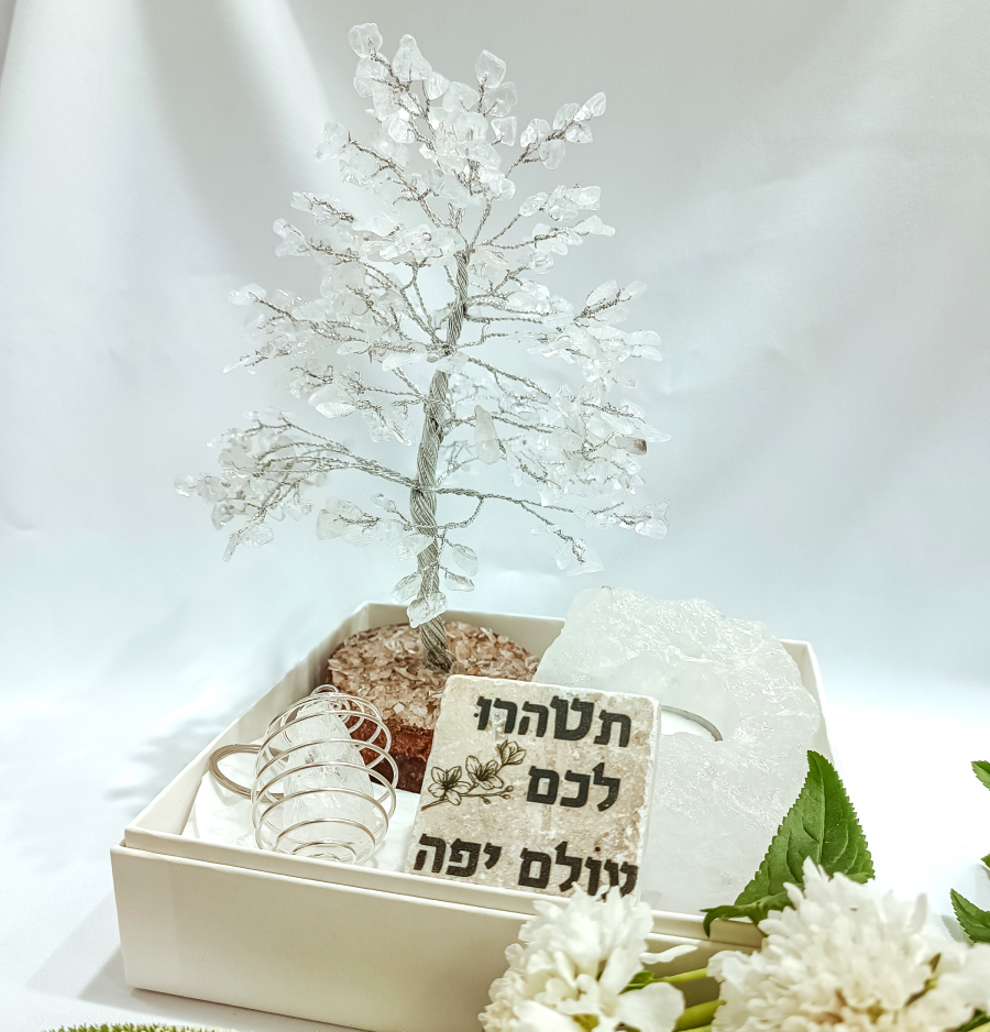 מארז קוורץ אנרגיית החיים מארז קוורץ אנרגיית החיים