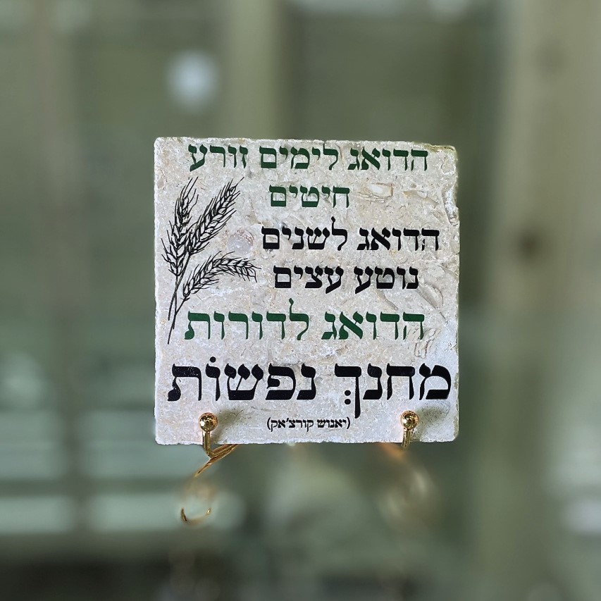 אריח 10/10 - 'הדואג לימים'