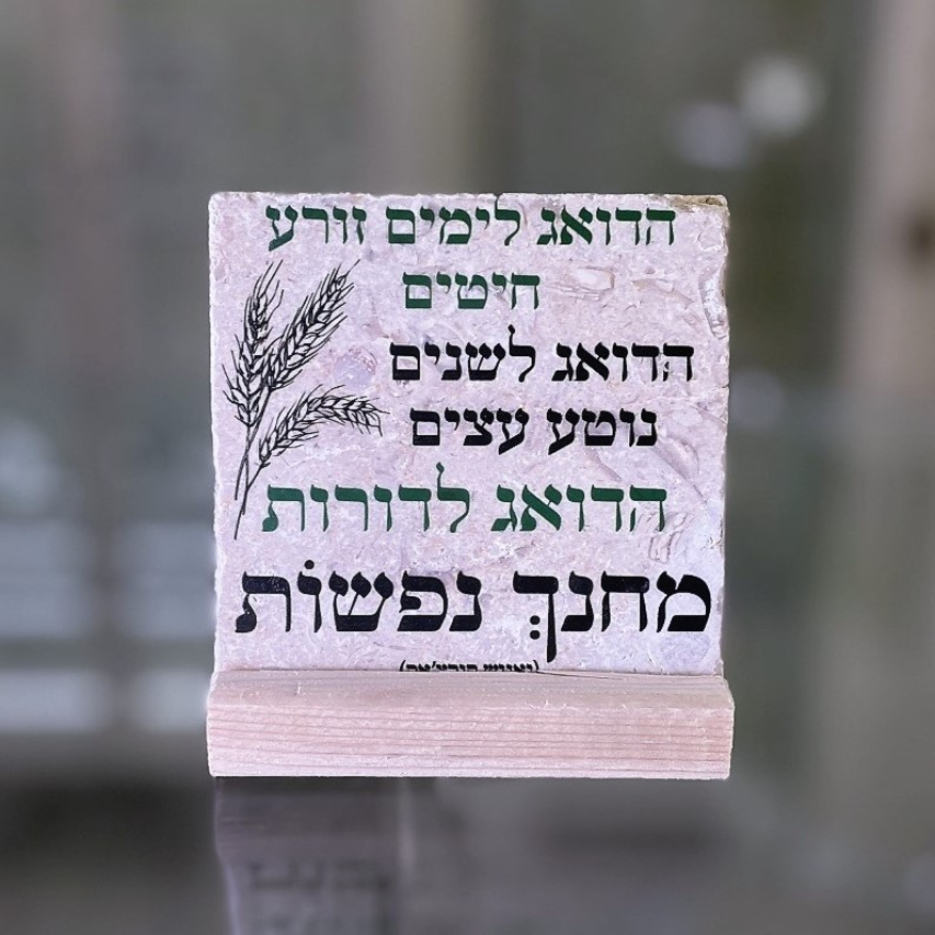 אריח 10/10 - 'הדואג לימים'