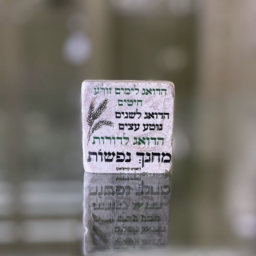 אריח 5/5 - 'הדואג לימים'