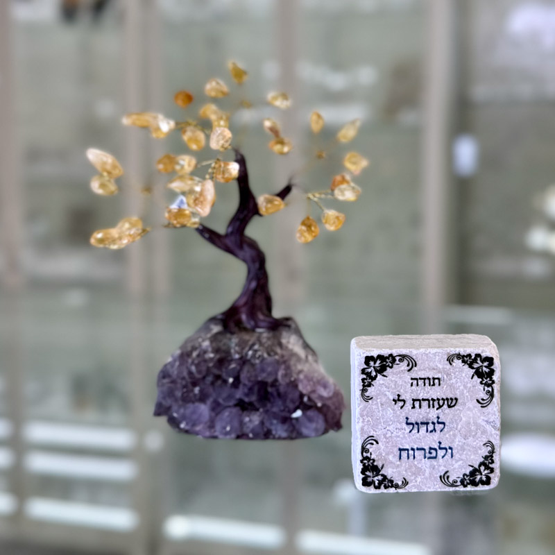מארז עץ קטן ואריח - תודה שעזרת לי לגדול ולפרוח מארז עץ קטן ואריח - תודה שעזרת לי לגדול ולפרוח