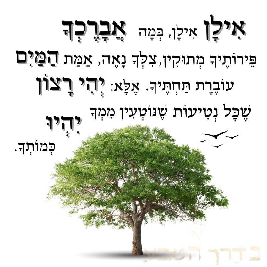 10 כרטיסי ברכה מעוצבים