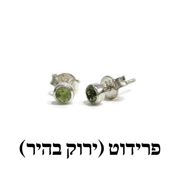 עגילים צמודים אבן לבחירה