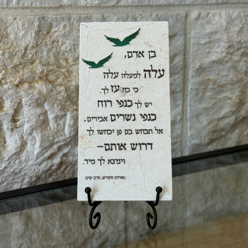אריח 10/20 - בן אדם (הרב קוק)