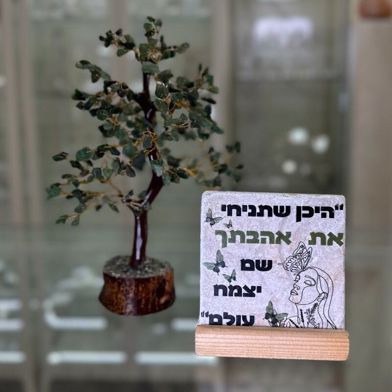 מארז עץ גזע ואריח "היכן שתניחי"