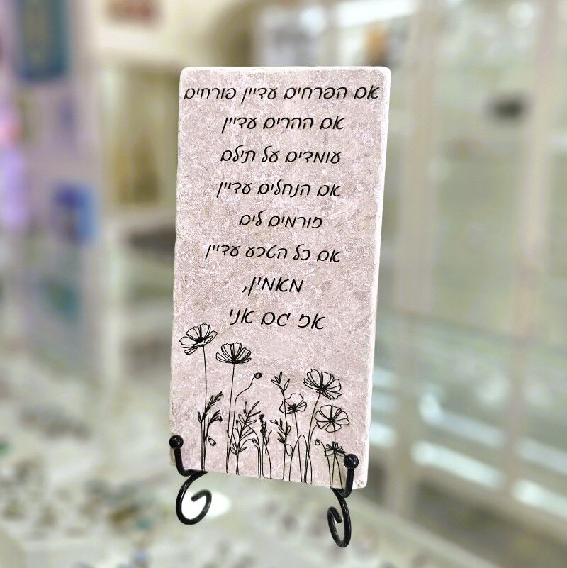 אריח 10/20- אמונה שניקה שקד