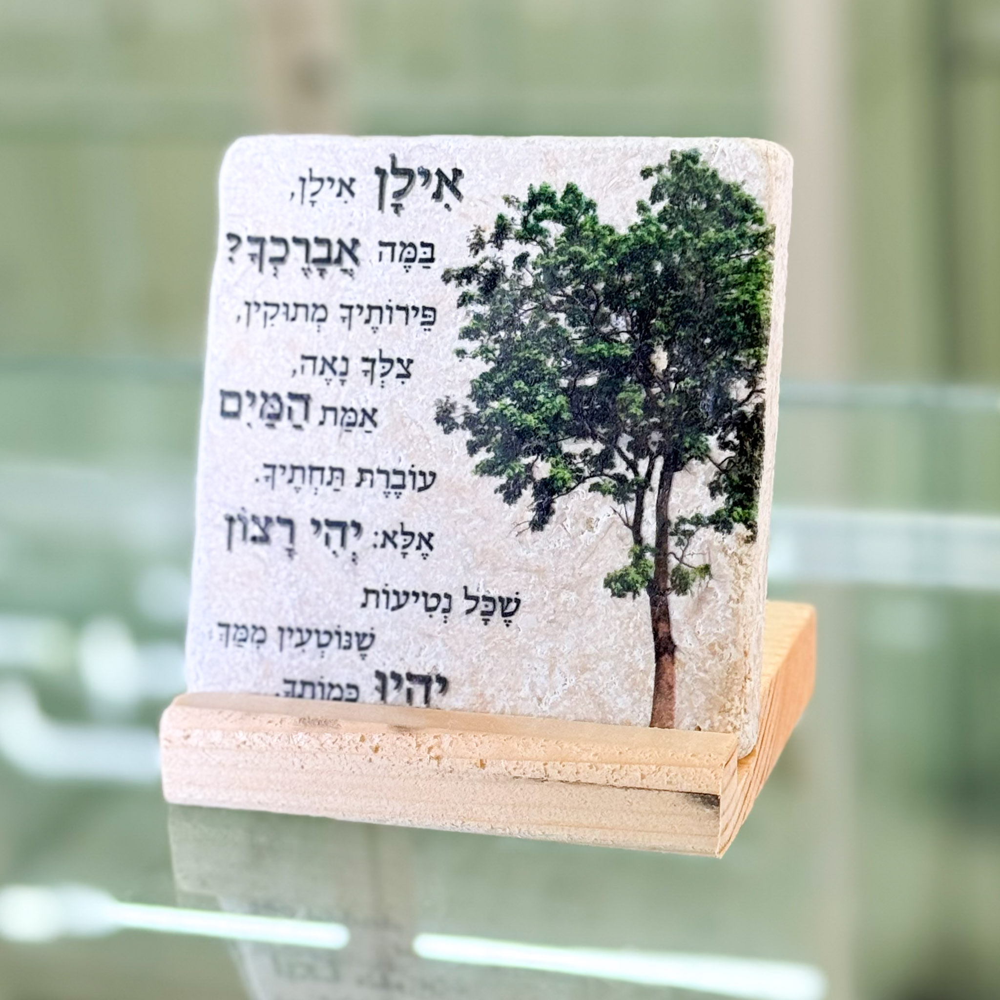 אריח 10/10 -אילן אילן
