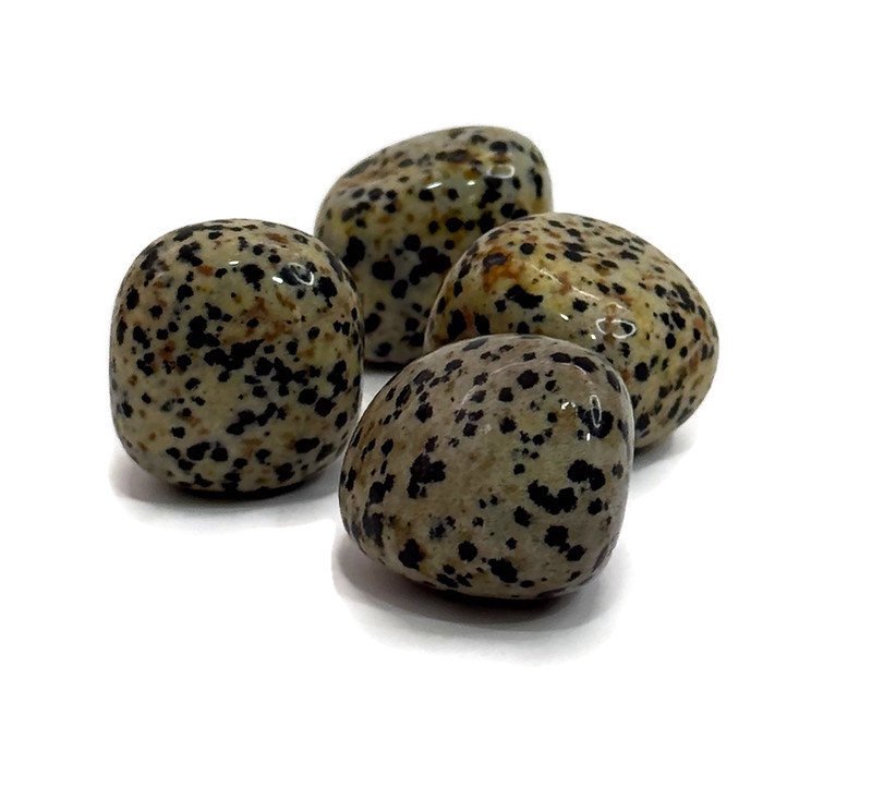 חלוק ג'ספר דלמטי