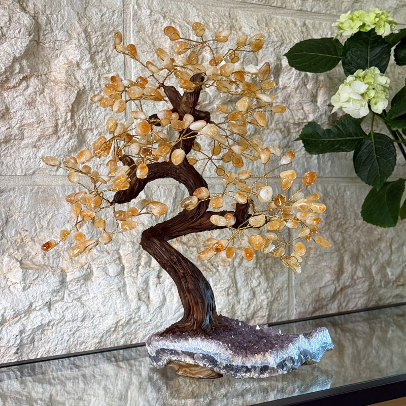 עץ סיטרין על מושבה ענק עץ סיטרין על מושבה ענק