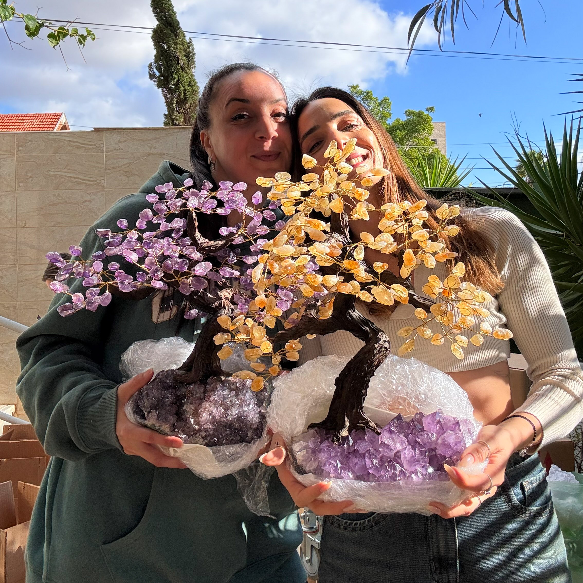 עץ אמטיסט על מושבה ענק עץ אמטיסט על מושבה ענק