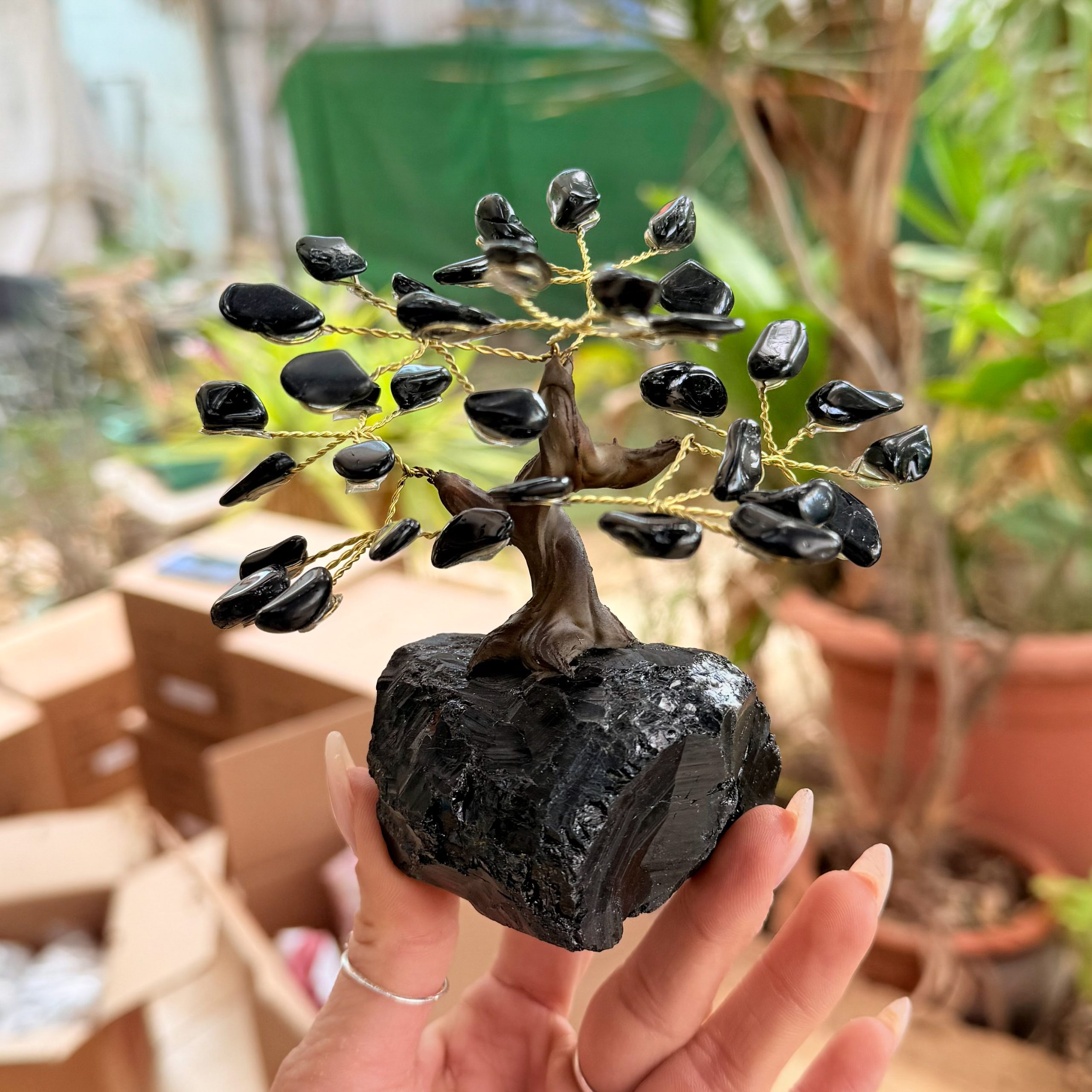 העץ הנדיב טורמלין שחור על טורמלין שחור קטן