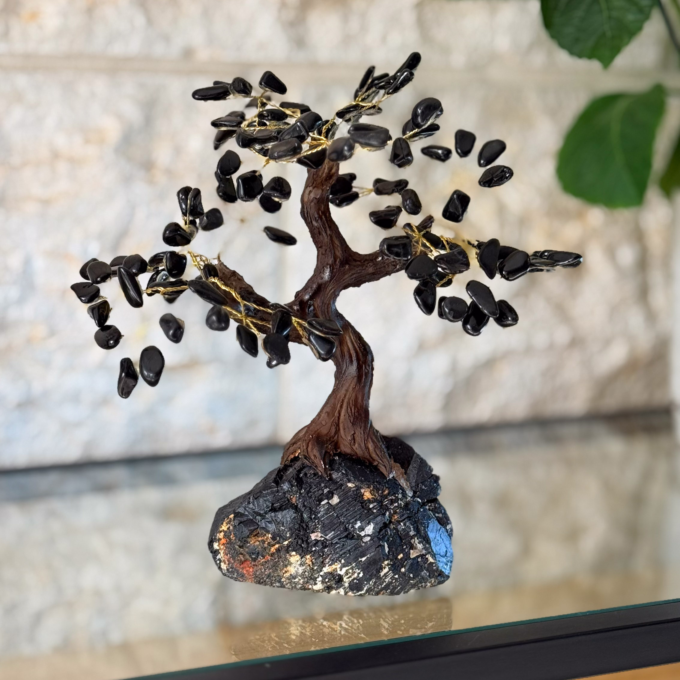 העץ הנדיב טורמלין שחור על טורמלין שחור גדול העץ הנדיב טורמלין שחור על טורמלין שחור גדול