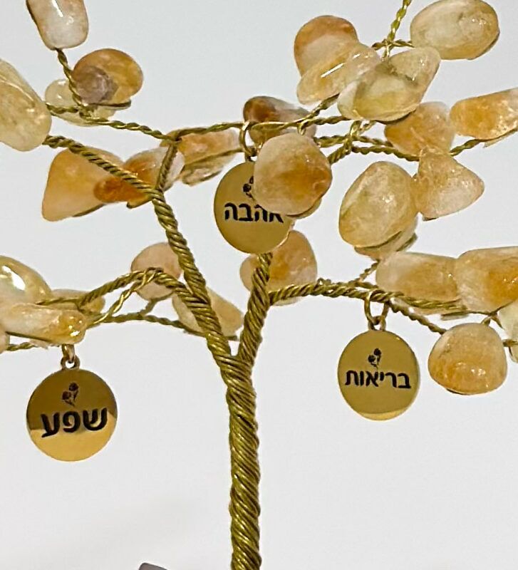 העץ הנדיב טורמלין שחור על טורמלין שחור גדול העץ הנדיב טורמלין שחור על טורמלין שחור גדול