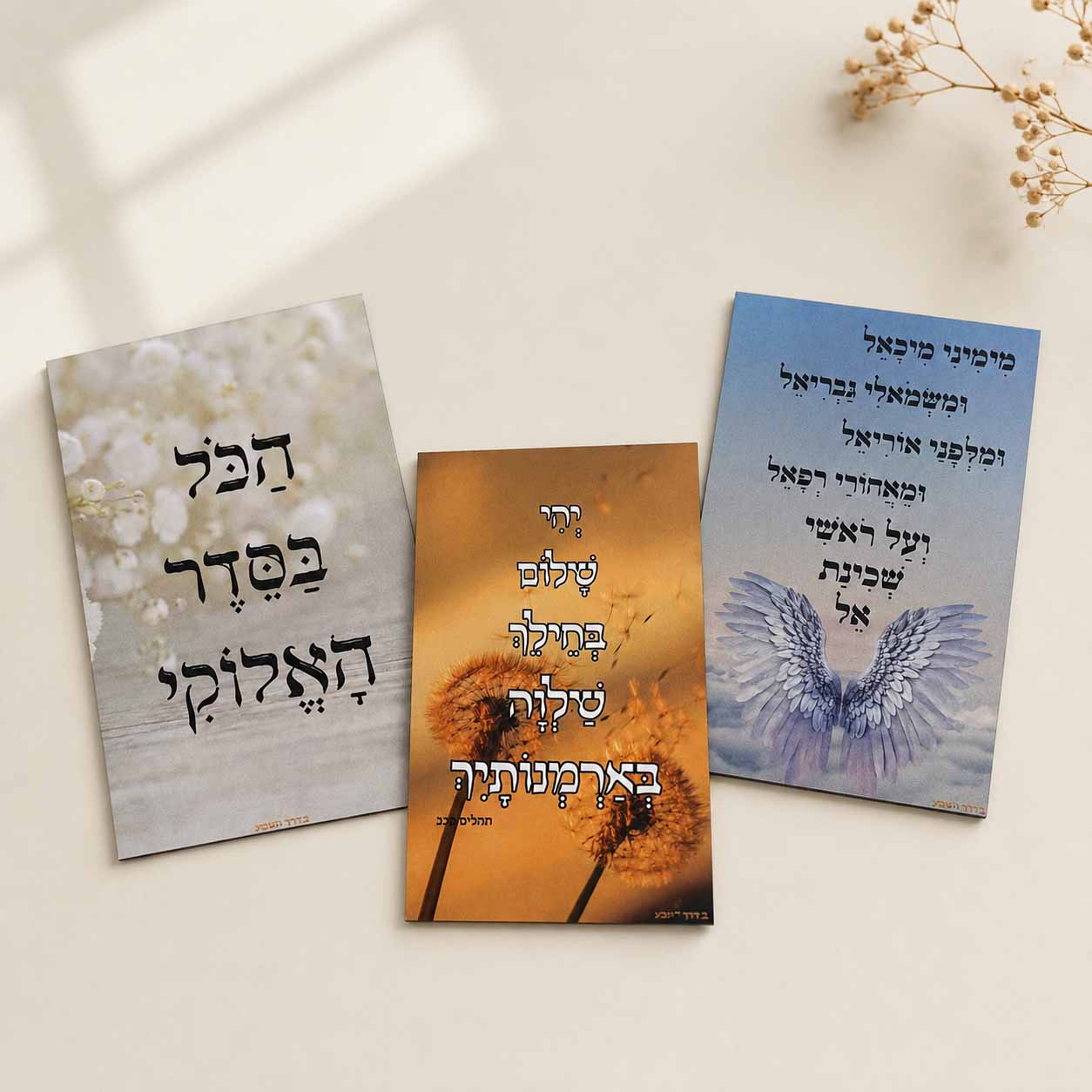 3 מגנטים משפטי העצמה והשראה 3 מגנטים משפטי העצמה והשראה