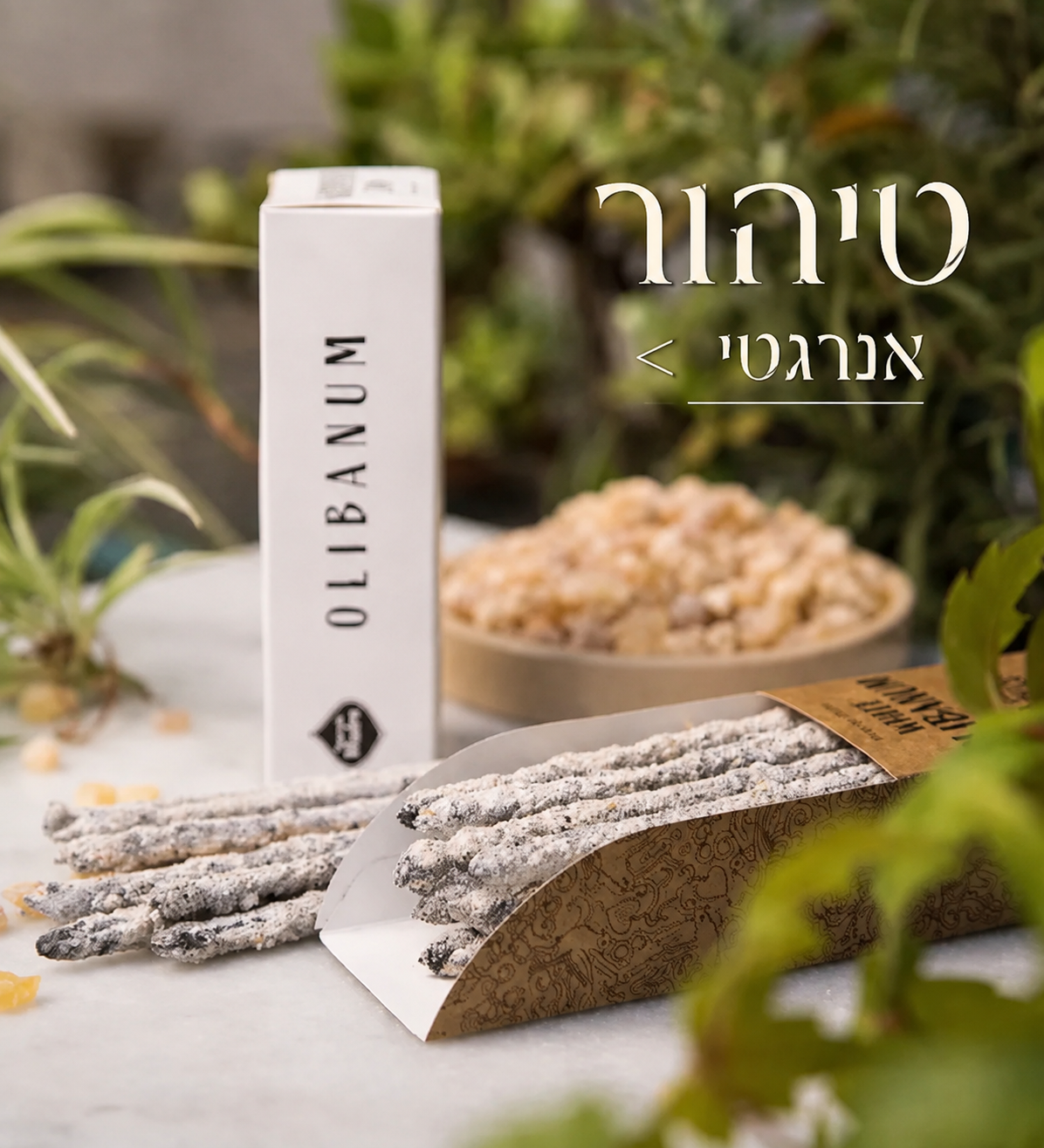 באנר מובייל - להחלפה